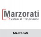 意大利Marzorati减速机