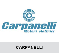 意大利CARPANELLI电机