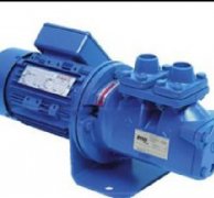 美国Zenith Pumps泵
