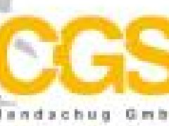 德国CGS过滤器