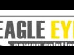 美国Eagle Eye电池测试仪