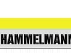德国Hammelmann高压泵